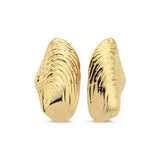 MUSSEL EARRINGS