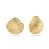 OCEAN SHELL CUFFLINKS