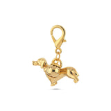 CHARM-DOG