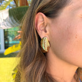 MUSSEL EARRINGS