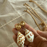 SHELLS FROM SEA-NO 5