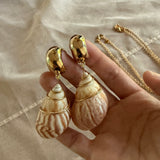 SHELLS FROM SEA-NO 4